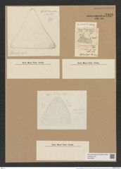 Triceratium inelegans Grev. (de-Toni-Nr.: Genus 140, Species 3820) Zeichnungen Sammlung Grunow Nr. 7318 (NHMW-BOT-W0376357)